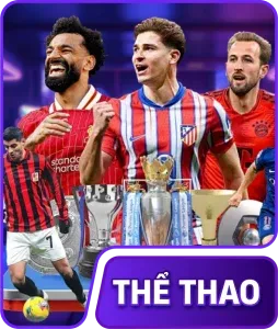 Thể thao H19
